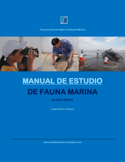 MANUAL DE ESTUDIO DE FAUNA MARINA  en el Sur del Perú