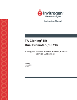 TA Cloning Kit Dual Promoter (pCR II)