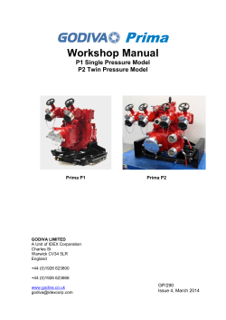 Prima Workshop Manual