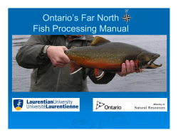 Ontario’s Far North Fish Processing Manual