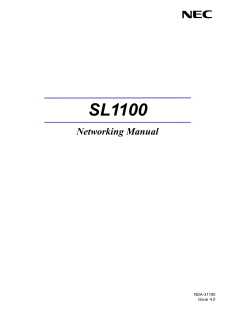 SL1100 Networking Manual NDA-31190 Issue 4.0