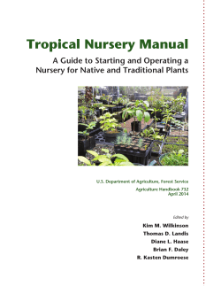 Tropical Nursery Manual A Guide to Starting and Operating a