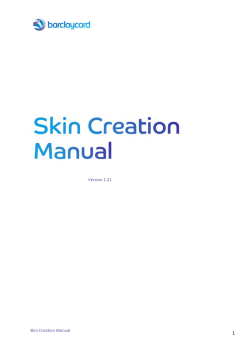 1 Version 1.21 Skin Creation Manual