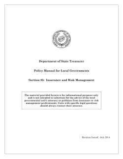 Department of State Treasurer Policy Manual for Local Governments
