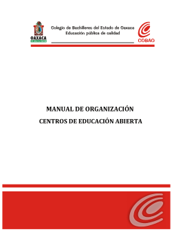 MANUAL DE ORGANIZACIÓN  CENTROS DE EDUCACIÓN ABIERTA