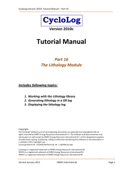Tutorial Manual  Part 16 The Lithology Module