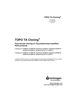 TOPO TA Cloning  Taq PCR products