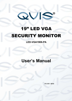 19” LED VGA SECURITY MONITOR User’s Manual