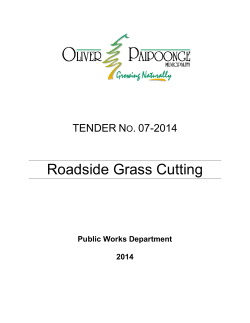 Roadside Grass Cutting  TENDER N