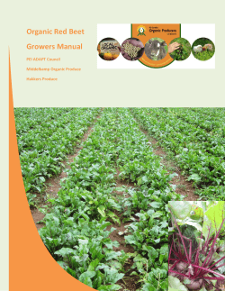Organic Red Beet Growers Manual  PEI ADAPT Council
