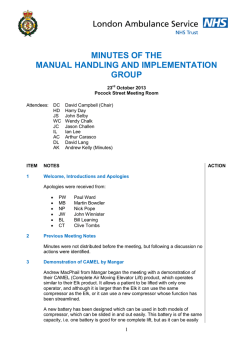 MINUTES OF THE MANUAL HANDLING AND IMPLEMENTATION GROUP
