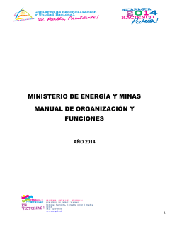 MINISTERIO DE ENERGÍA Y MINAS MANUAL DE ORGANIZACIÓN Y FUNCIONES
