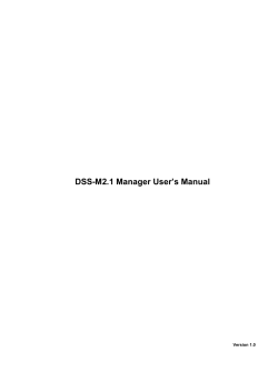 ’s Manual DSS-M2.1 Manager User Version 1.0