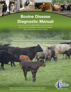 Bovine Disease Diagnostic Manual