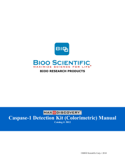 Caspase-1 Detection Kit (Colorimetric) Manual  BIOO RESEARCH PRODUCTS