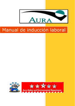 2013 Manual de inducción laboral