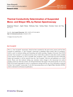 Thermal Conductivity Determination of Suspended Mono- and Bilayer WS by Raman Spectroscopy