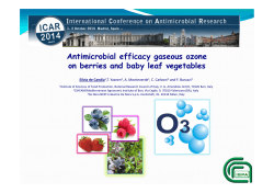 Antimicrobial efficacy gaseous ozone on berries and baby leaf vegetables ,T. Yaseen