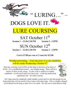 “ LURING…” – DOGS LOVE IT.  LURE COURSING