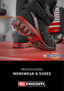 WORKWEAR &amp; SHOES PROFESSIONAL by