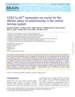 BRAIN CCR2 Ly-6C monocytes are crucial for the
