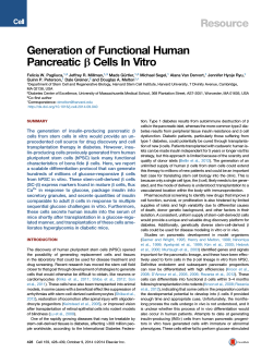 Generation of Functional Human b Cells In Vitro Pancreatic Resource