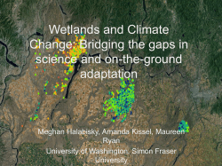 Wetlands and Climate Change: Bridging the gaps in science and on-the-ground adaptation