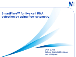 SmartFlare for live cell RNA detection by using flow cytometry TM