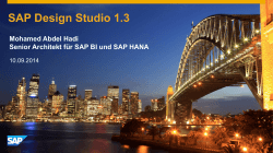 SAP Design Studio 1.3  Mohamed Abdel Hadi