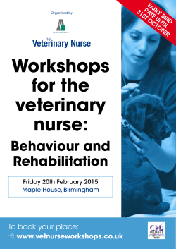 Workshops for the veterinary nurse: