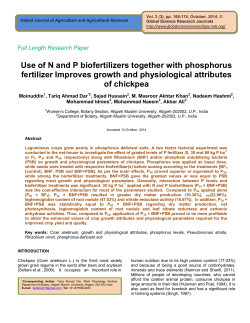 Use of N and P biofertilizers together with phosphorus