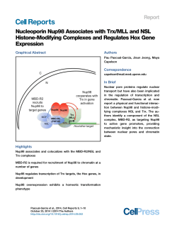 Nucleoporin Nup98 Associates with Trx/MLL and NSL Expression