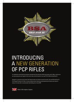 INTRODUCING A  OF PCP RIFLES