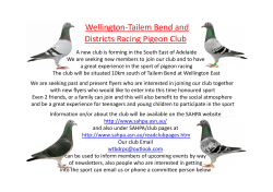 Wellington‐Tailem Bend and g Districts Racing Pigeon Club