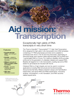 Aid mission: Transcription Exceptionally high yields of RNA transcripts in very short time