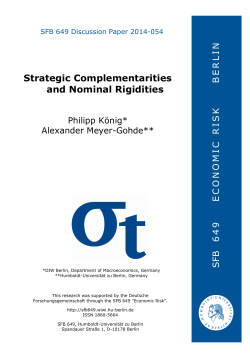 Strategic Complementarities and Nominal Rigidities N