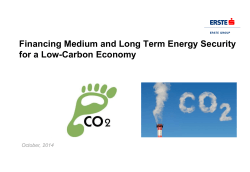 Financing Medium and Long Term Energy Security for a Low-Carbon Economy