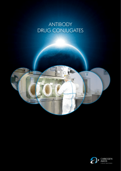 ANTIBODY DRUG CONJUGATES