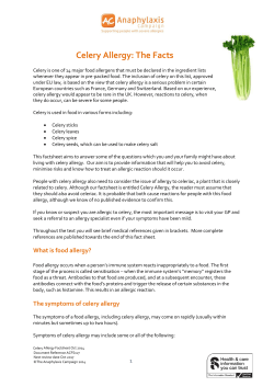 Celery Allergy: The Facts