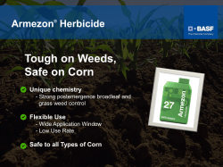Tough on Weeds, Safe on Corn Armezon Herbicide