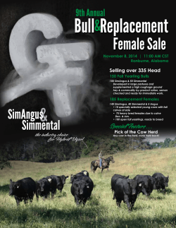 Bull Replacement  Female Sale