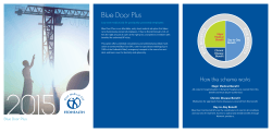Blue Door Plus TS  RIS