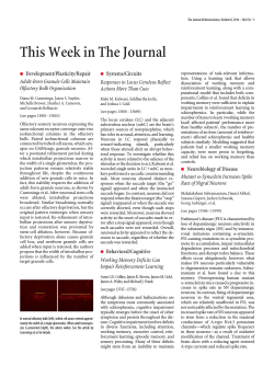 This Week in The Journal
