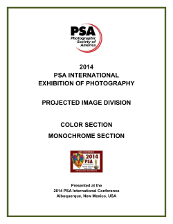 2014 PSA INTERNATIONAL EXHIBITION OF PHOTOGRAPHY PROJECTED IMAGE DIVISION