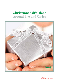 Christmas Gift Ideas Around $50 and Under 2014