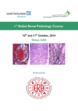 1 Dubai Renal Pathology Course  10