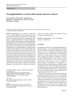 Transglutaminases: recent achievements and new sources MINI-REVIEW