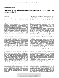 Simultaneous release of adenylate kinase and cytochrome c in cell death