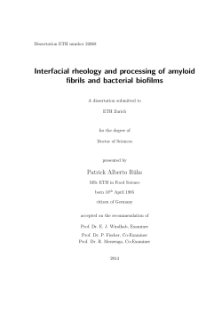 Interfacial rheology and processing of amyloid fibrils and bacterial biofilms