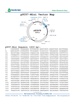 pUC57-Mini Vector Map pUC57-Mini Sequence (1835 bp):